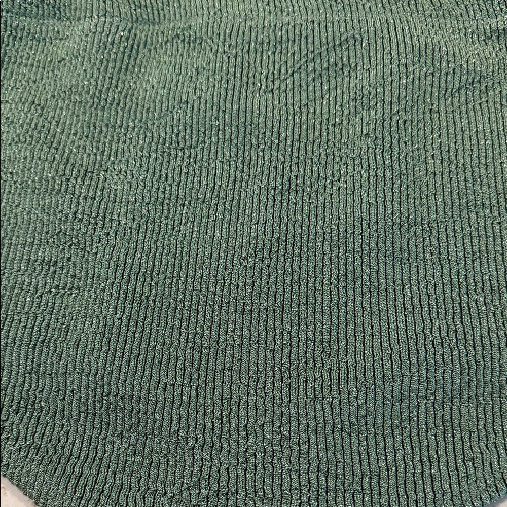 Zara Size Small Metallic Green High-Waisted Bikini Bottoms NWTs - Picture 6 of 10